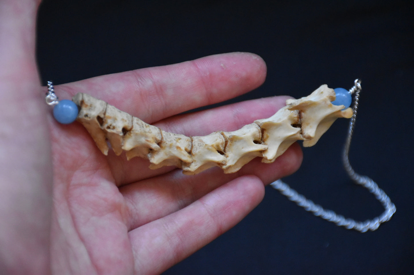Cat spine necklace