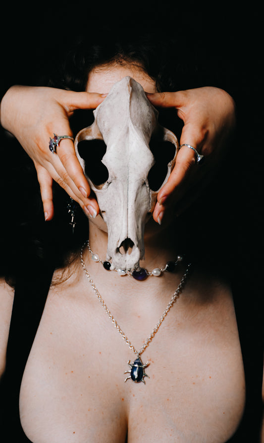 Upcoming events