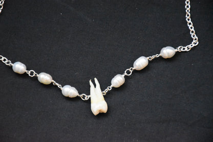 Human teeth necklace