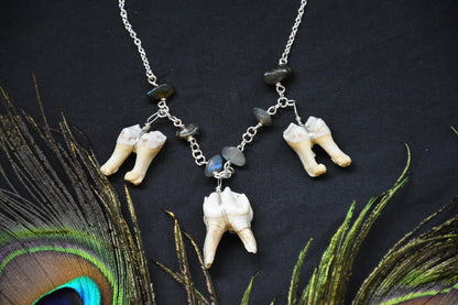 Crystal necklace 3 teeth