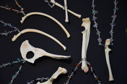 Beaver bone necklaces