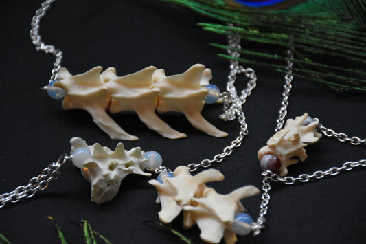 Cat spine necklaces