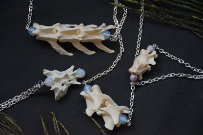 Cat spine necklaces