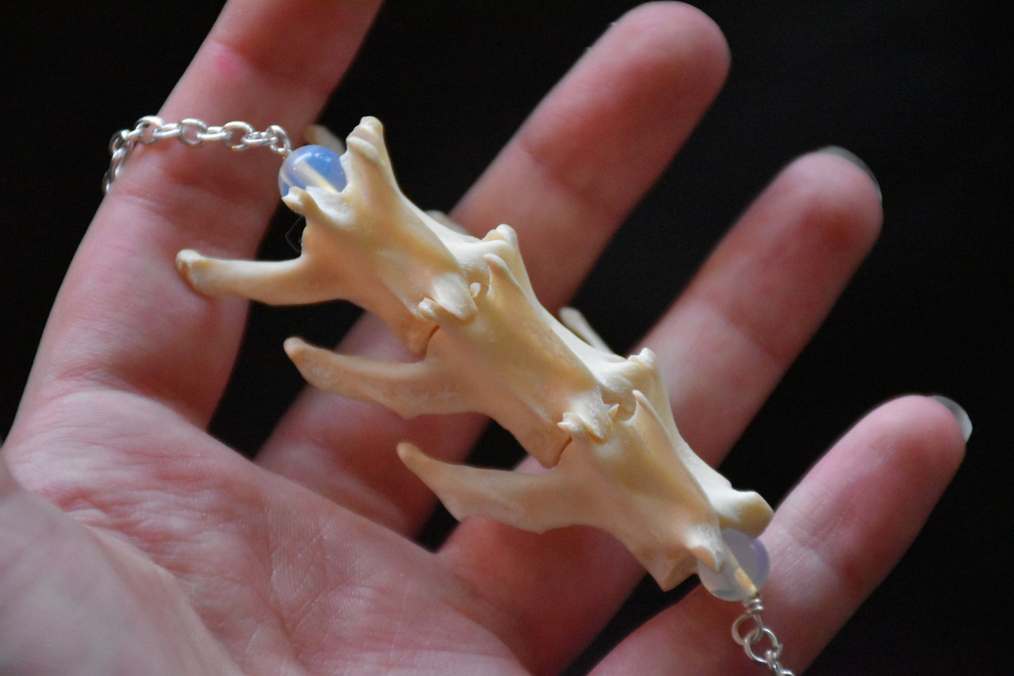 Cat spine necklaces