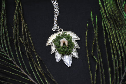Mossy tooth necklaces