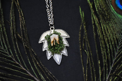 Mossy tooth necklaces