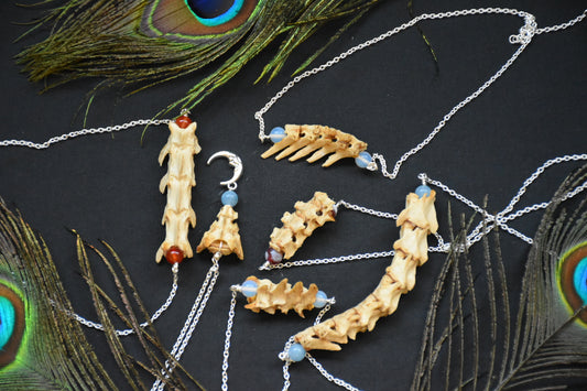 Cat spine necklace