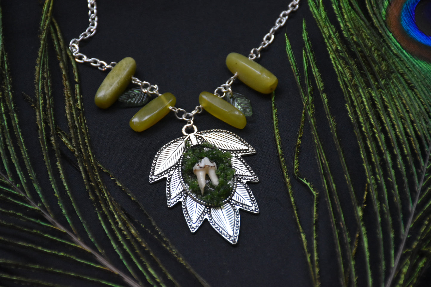 Mossy tooth necklaces