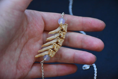 Cat spine necklace