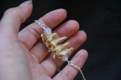 Cat spine necklace
