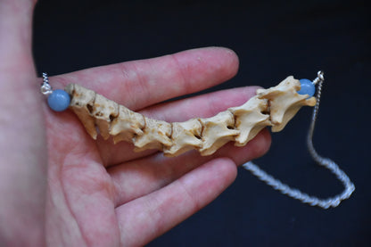 Cat spine necklace