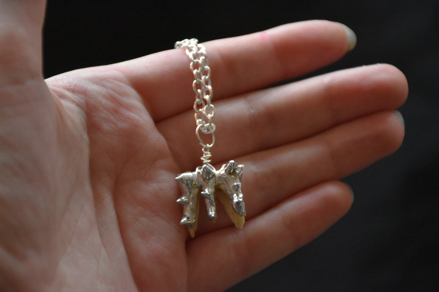 Armoured teeth necklaces