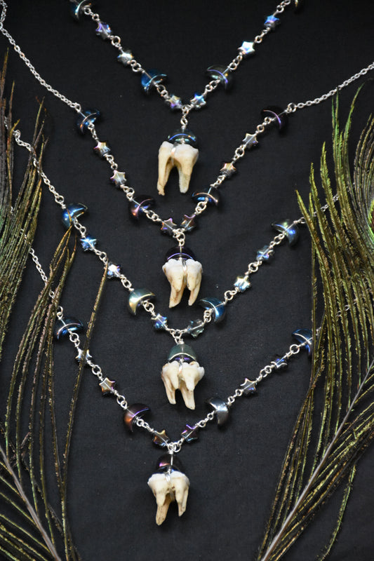 Starry night beaded boar tooth necklace