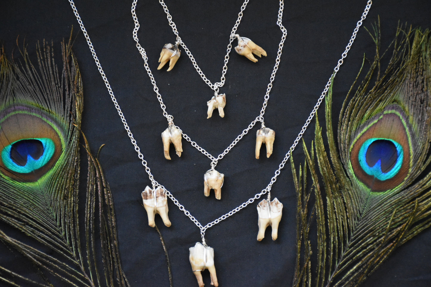 Simple three teeth necklaces