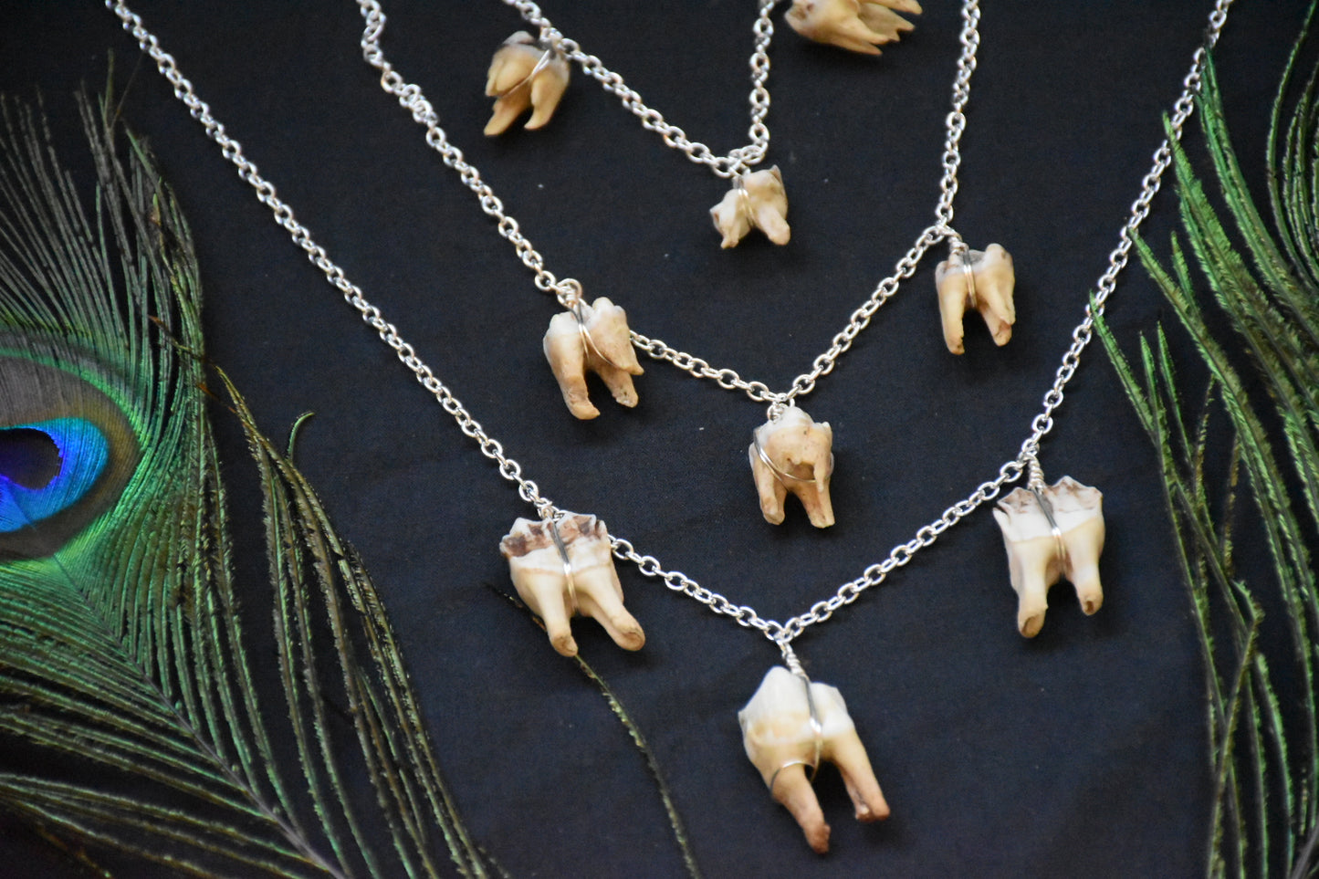 Simple three teeth necklaces