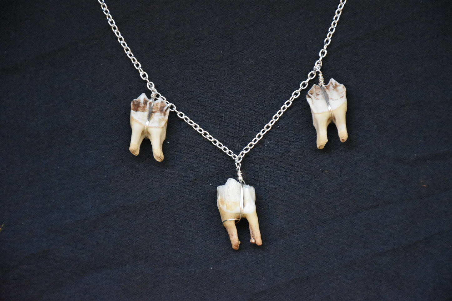 Simple three teeth necklaces
