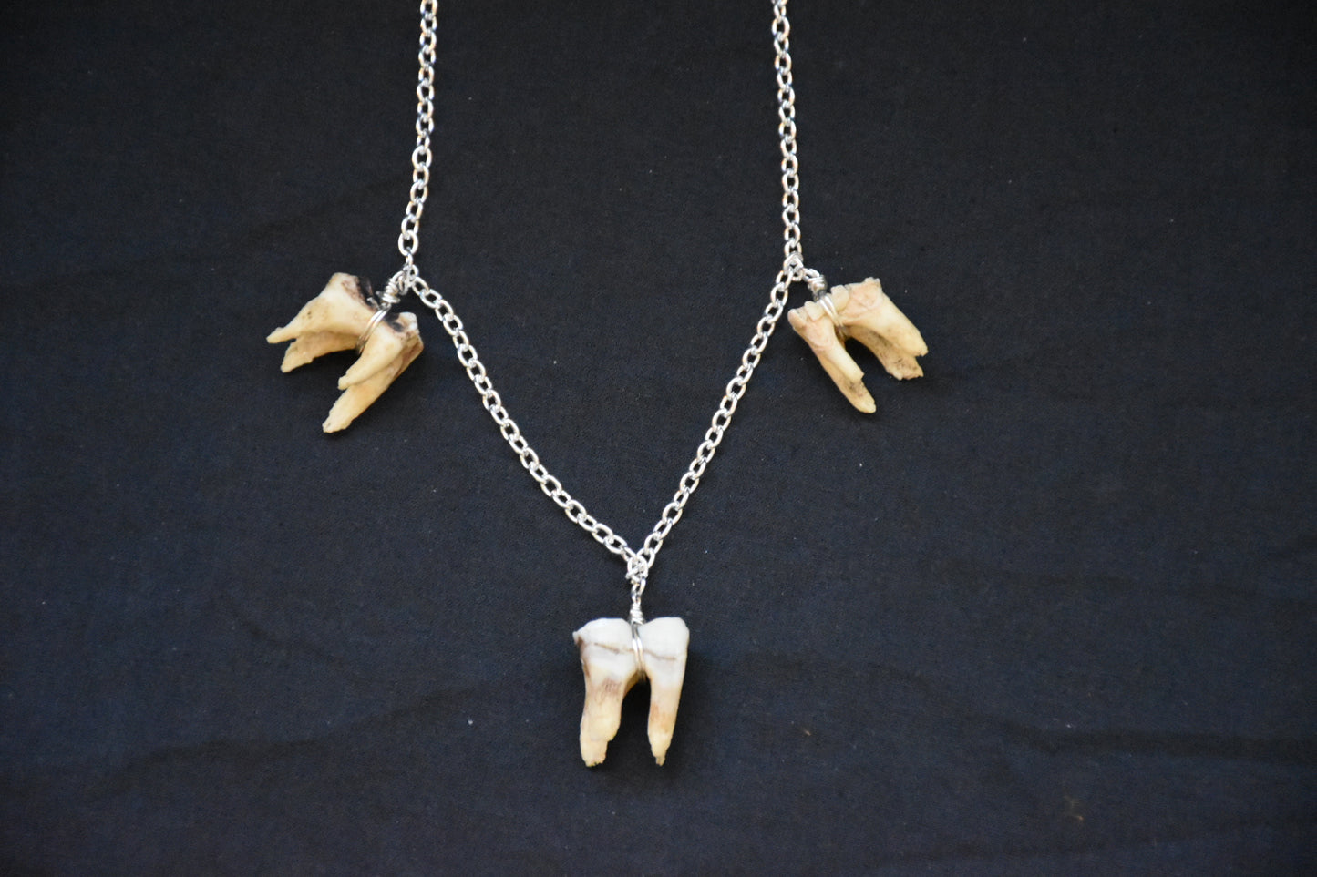 Simple three teeth necklaces