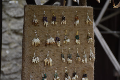 Crystal teeth earrings