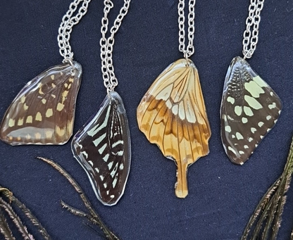 Butterfly wing necklace