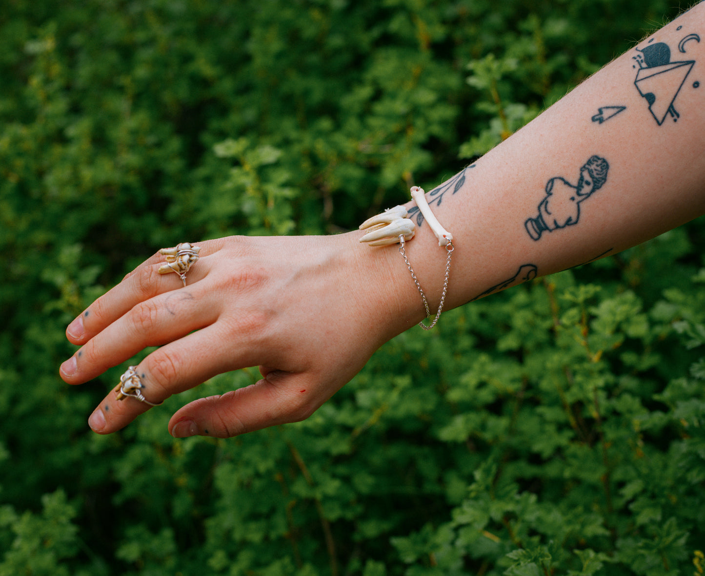 deer tooth ring