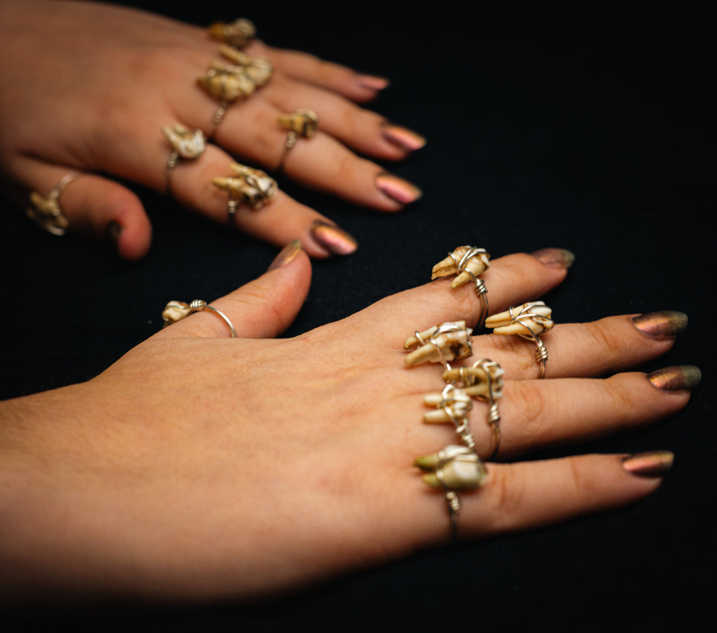 deer tooth ring