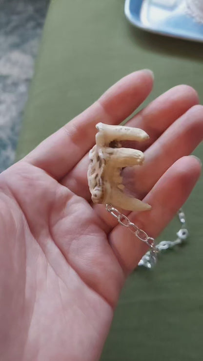 Worn tooth necklace