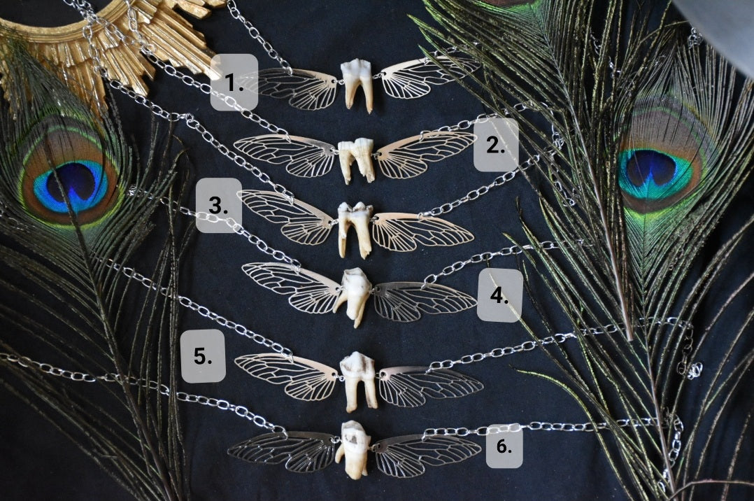 Silver toothfairy necklace