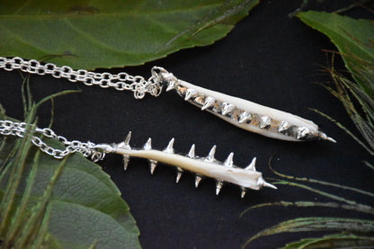 Armoured boar tusk necllace