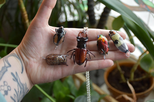 Big bug necklaces