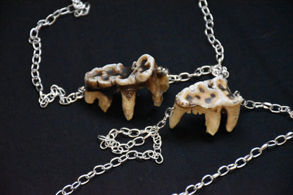 Worn tooth necklace