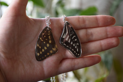 Butterfly wing necklace