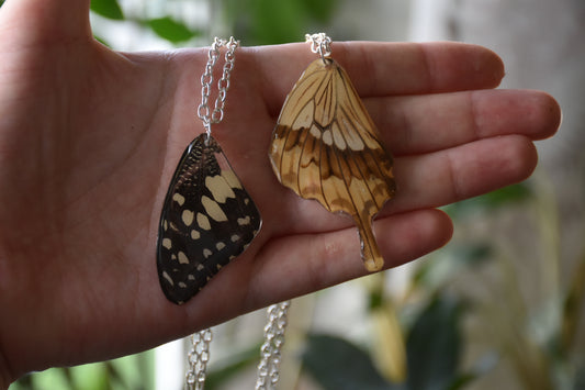 Butterfly wing necklace