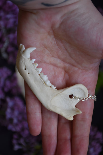 Badger jaw necklace