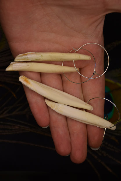 Boar tusk hoop earrings