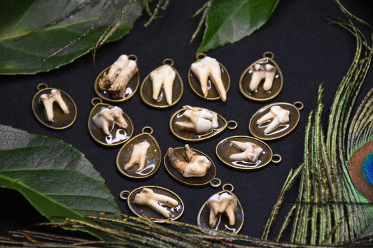 Bronze tooth pendant