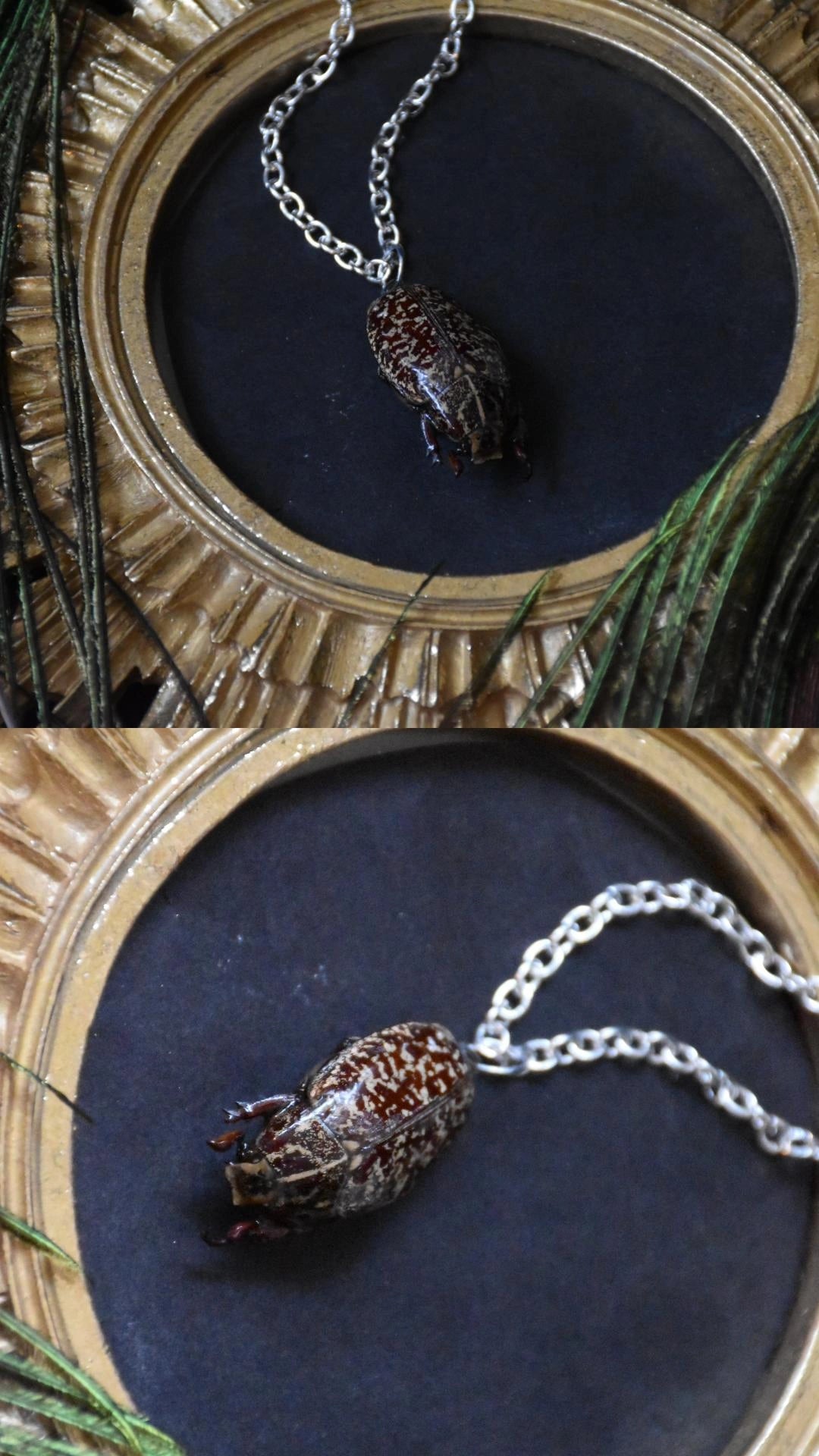 Big bug necklaces