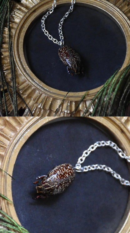 Big bug necklaces