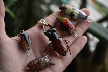 Big bug necklaces