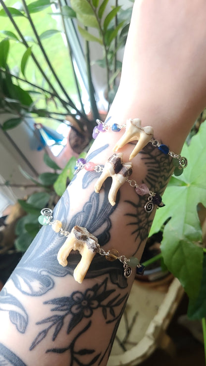 Rainbow crystal tooth bracelet