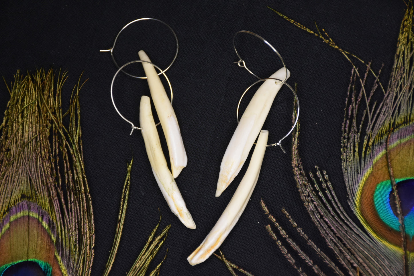 Boar tusk hoop earrings