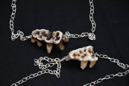 Worn tooth necklace