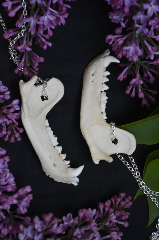 Badger jaw necklace