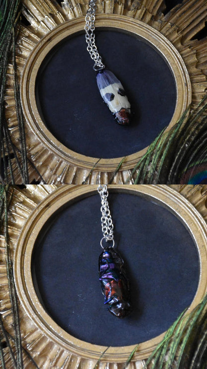 Big bug necklaces